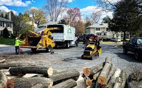 Best Utility Line Clearance  in South Elgin, IL